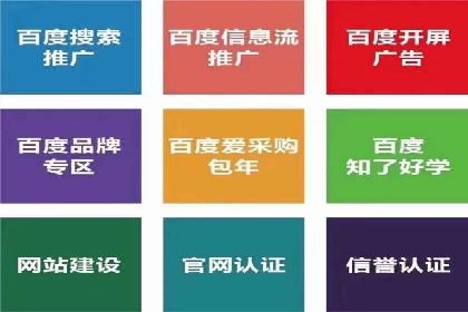 百度网络推广案例解析：成功企业如何实现品牌飞跃